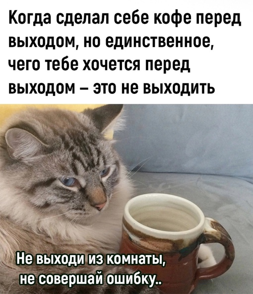 Ну её, эту вашу..