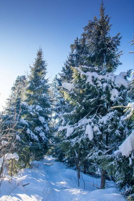 СНЕЖНАЯ БАЛАШИХА ❄
📸 Алексей Кошечкин
Жители Балашихи вновь радуют своими снимками 😍 Ну а пока одни..