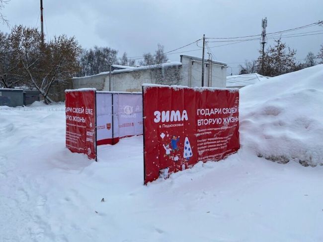 Одну из специальных площадок для сбора новогодних деревьев уже оборудовали на западной стороне..