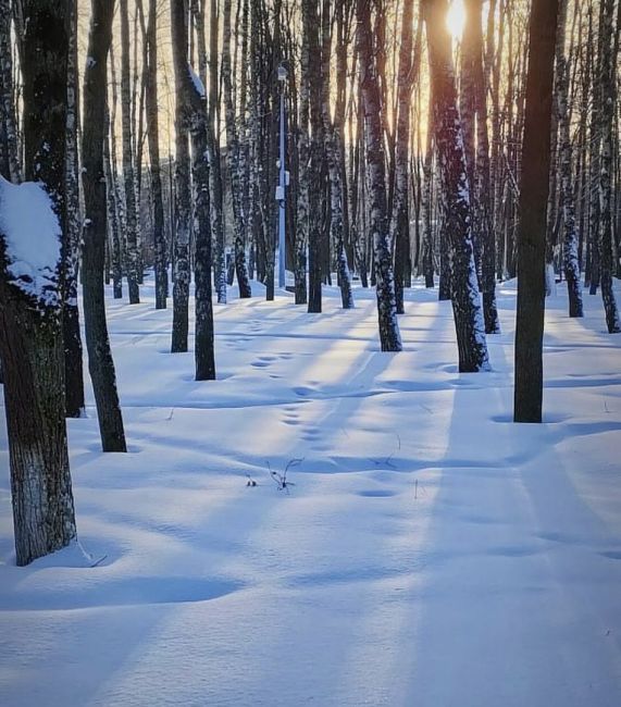 Прекрасного вечера,..