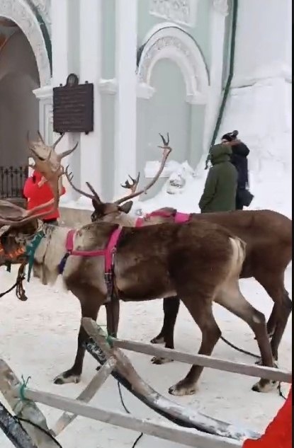 У Лавры сегодня припарковались..