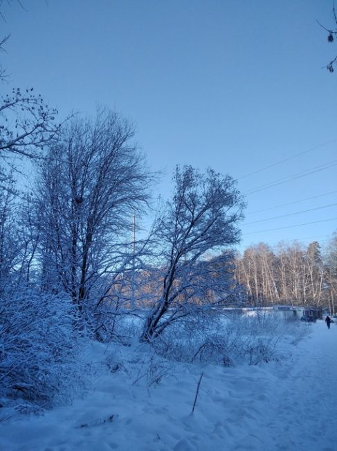 Погода в балашихе на месяц