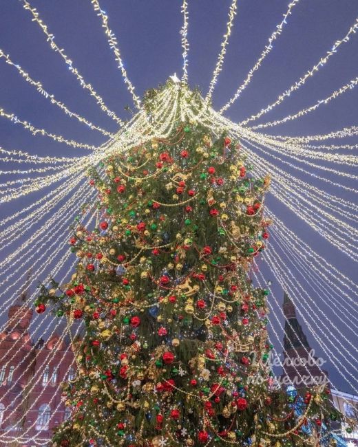 Новогодние праздники дома или путешествие в Москву😉🎄  9 мест в Москве с самыми красивыми новогодними..