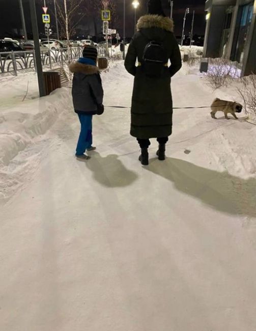 — Ноги отпадут!
— Нет, просто заболеешь.  В Екатеринбурге заметили мальчика, который гулял с собакой в одних..