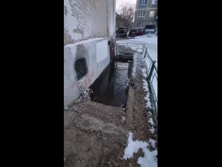 По адресу Козлова 11, в подвале прорвало трубу с горячей водой, вода горячая встала, дышать и жить стало..