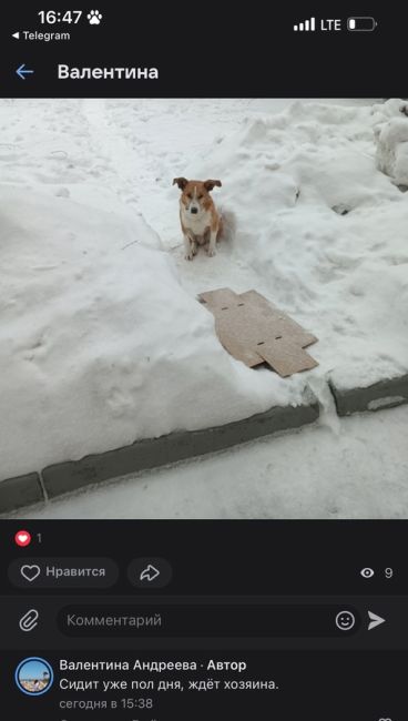 Балашиха
замечена собака 
ЖК "Витязь" г.Балашиха МО
https://vk.com/wall-73782167_806742
У кого потерялась собака, может кто..