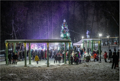 Новый год в подмосковье с программой