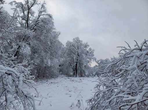 Кировский поселок. Доброе утро 🩵  Фото Николая..