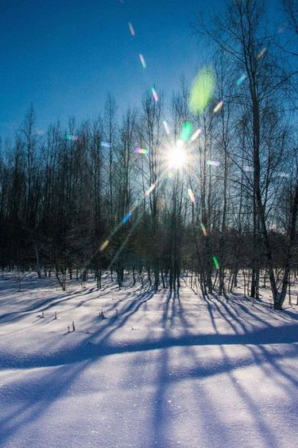 СНЕЖНАЯ БАЛАШИХА ❄
📸 Алексей Кошечкин
Жители Балашихи вновь радуют своими снимками 😍 Ну а пока одни..