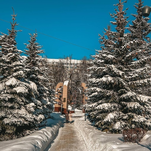 Мороз и солнце в центре города❄️  Фото..