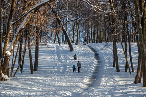 Алексей Гречушников  Настоящая русская Зима в городке 🛷 
Город..