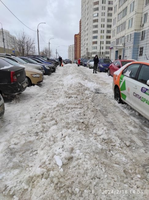 Ни разу за всю зиму УК  не вывезли снег. Грязный снег скидывают на деревья, кустарники и цветник. При этом..