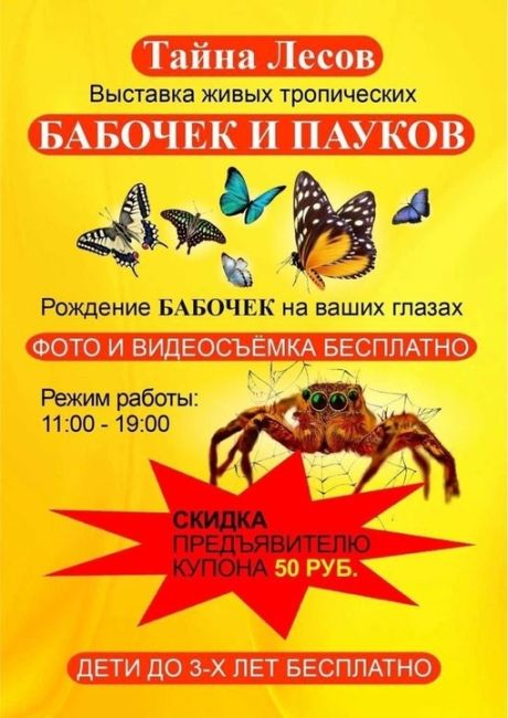 erid: LjN8K66TK
Реклама: ИП ГИТИНОМАГОМЕДОВ МАГОМЕДЗАГИД 
0+ 
Откройте двери в мир чудес и красоты на выставке живых..