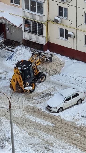 Ни разу за всю зиму УК  не вывезли снег. Грязный снег скидывают на деревья, кустарники и цветник. При этом..