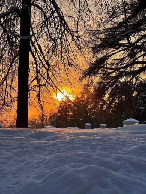 🌆 Закат в усадьбе..