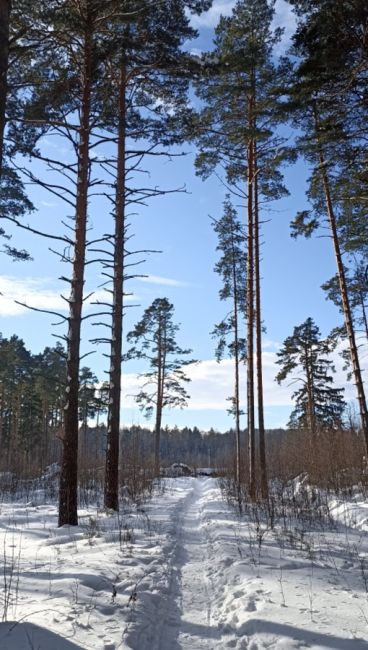 😉 Понедельник начнем с прогулки по Волхонке.
Спасибо нашей подписчице за прекрасные..