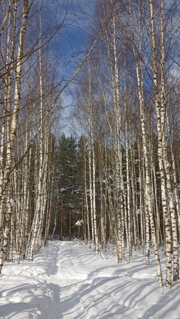 😉 Понедельник начнем с прогулки по Волхонке.
Спасибо нашей подписчице за прекрасные..