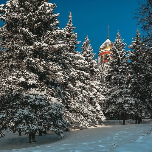 Мороз и солнце в центре города❄️  Фото..