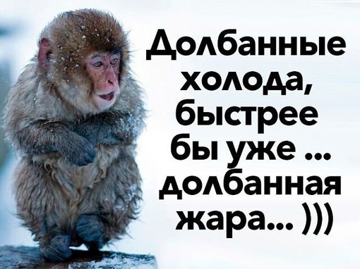 🥵 Опять погодные рекорды: синоптики обещают самое жаркое лето в Москве за всю историю..