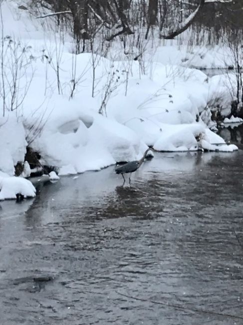 Замечена в..