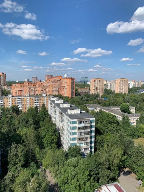 Всего 104 дня и в Химки придет лето ☀️🌳
Соскучились по теплым..