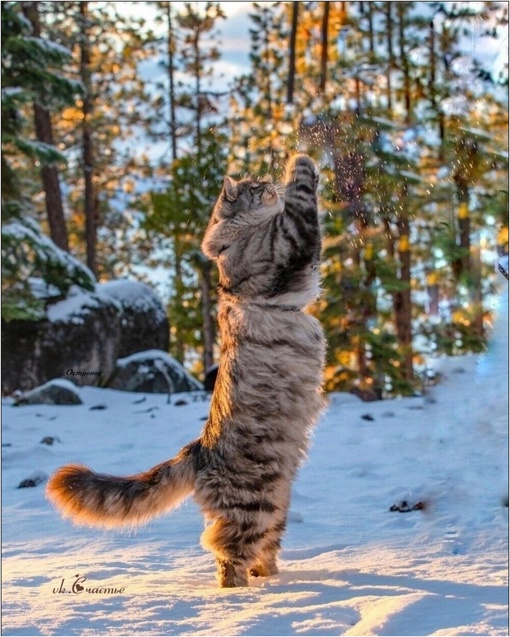 Доброе..