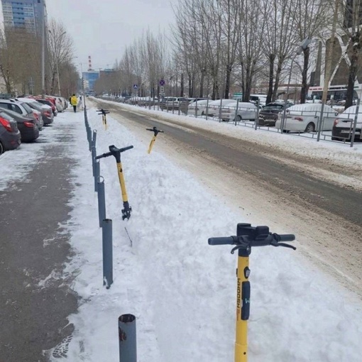 Городские подснежники готовятся к весне. А пока на сегодня синоптики обещают ледяной дождь и гололедицу...