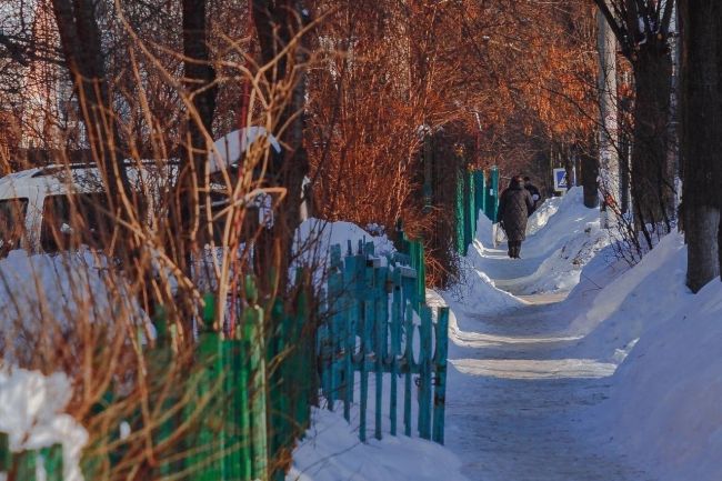 Зима на Садовой улице ❄ 
Автор:..