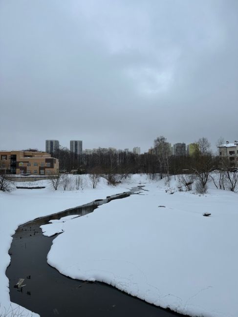 Доброе утро! Вот и февраль, самый короткий месяц в году, пролетит - оглянуться не успеем, а дальше уже весна..