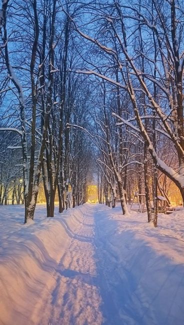 Студенточка заря вечерняя