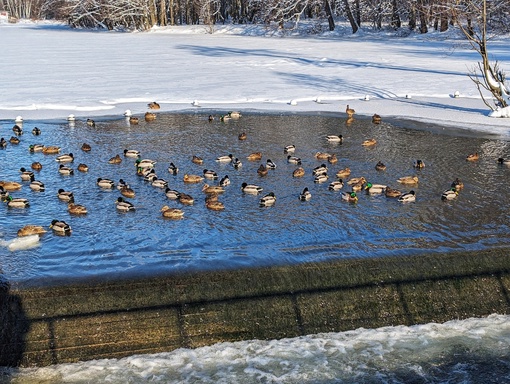 Солнечный и морозный день в..