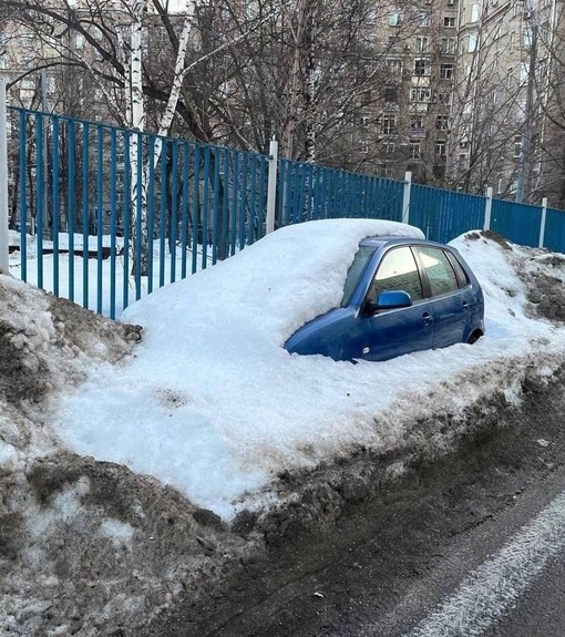 🌱Весна пришла, из-под снега начали появляться первые..