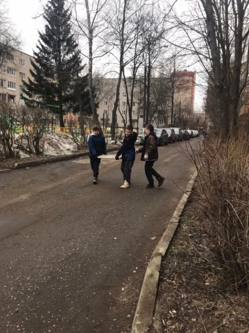 Климовские дети устали смотреть на мусорный ужас на улице Победы и решили сами привести территорию в..