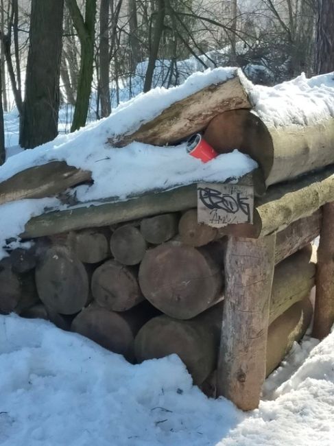 Уважаемая администрация! Подскажите пожалуйста, кто-нибудь вообще следит за порядком в лесопарках? У нас в..