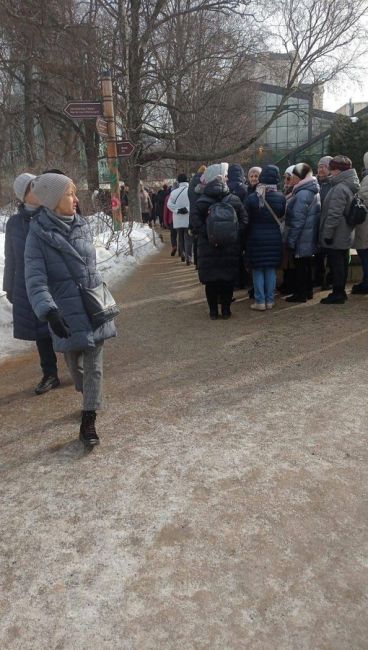 Огромные очереди в "Аптекарский огород".  Там до 17 марта проходит выставка "Репетиция..