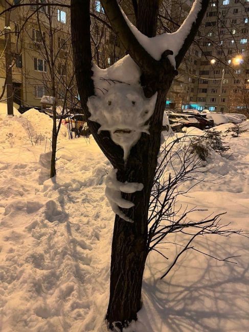 ⛄️ Вот такого чудика слепил на дереве кто-то из жителей Красногорска  Поселился снежный домовенок на..