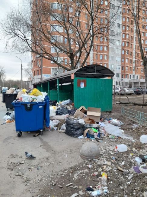 Весенний Подольск утопает в..