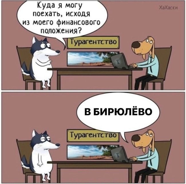 Уже решили, куда поедете этим..