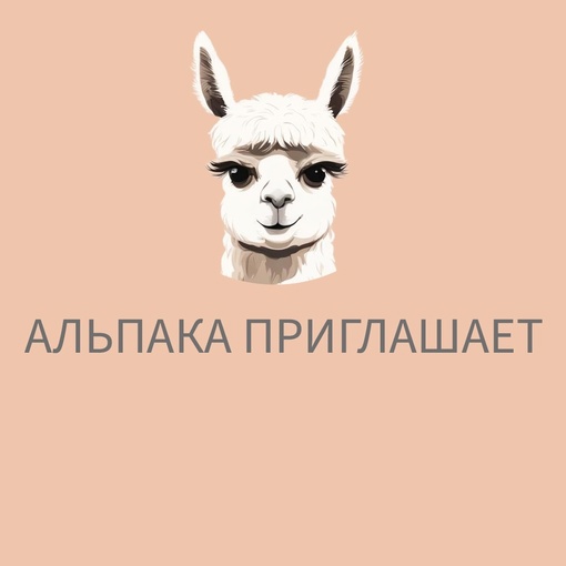 Детская студия комплексного развития «Альпака» 🦙  t.me/alpaca_studio | alpaca-studio.tilda.ws?erid=2Vtzqur5E3o  Здесь преподают..