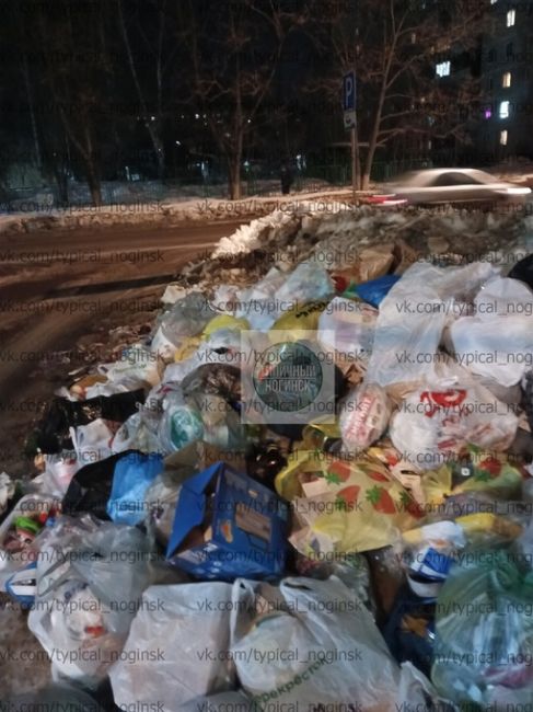 Прошу обратить внимание на ситуацию с вывозом мусора в городе Электросталь. По улице Западной на..