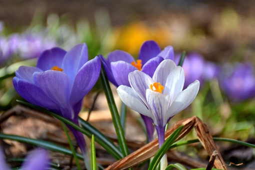 БАЛАШИХА РАСЦВЕТАЕТ 🌸
📸[id9259927|Kirill..