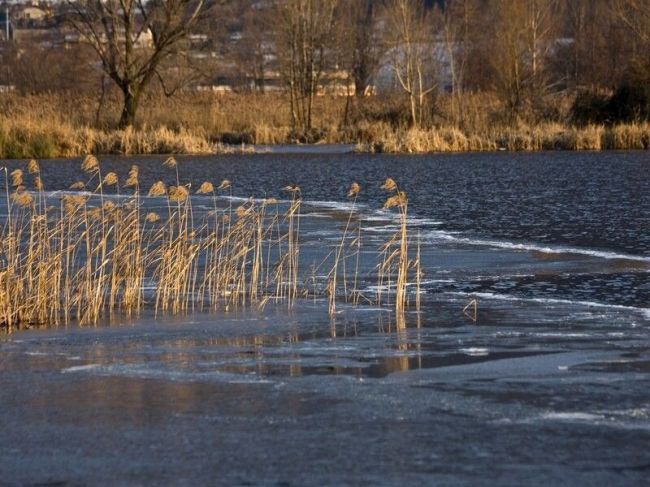 В Пушкинском округе проверили четыре канализационно-насосных станции перед периодом половодья  Проверки..