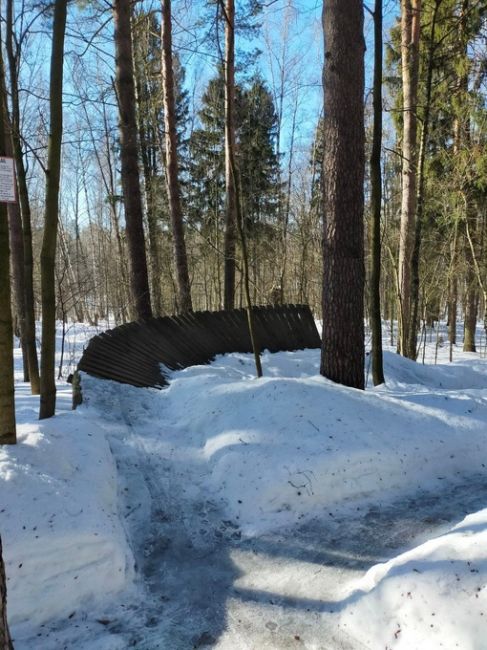 Уважаемая администрация! Подскажите пожалуйста, кто-нибудь вообще следит за порядком в лесопарках? У нас в..