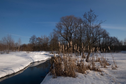 ПАВЛИНСКИЙ ПАРК 🌳
📸 Лена
Давно там..