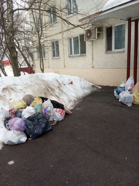 Красногорск, ул.Карбышева, д.11,1 подъезд, так вывозится..