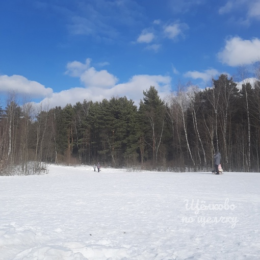 Щелковский лес (Район..