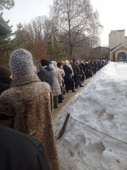 Огромные очереди в "Аптекарский огород".  Там до 17 марта проходит выставка "Репетиция..