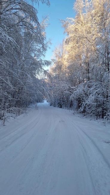 Сезон продолжается ⛷️
‼️АКЦИЯ - ПРОКАТ СНАРЯЖЕНИЯ + ПОДЪЕМНИК ВСЕГО 1400₽‼️ 
Горнолыжный центр «Заречье..