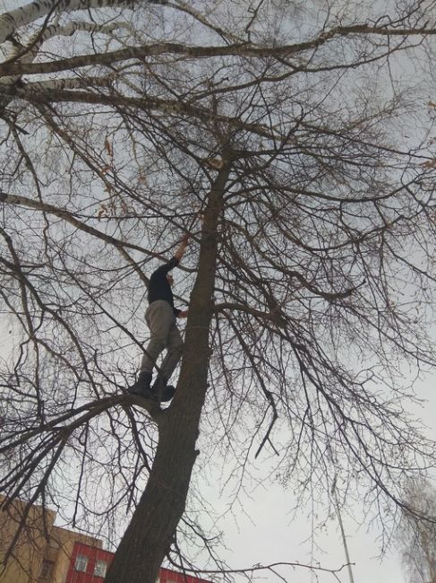 Андрей , пожалуйста, отзовись, мы тебя ищем. Напиши нам, пожалуйста. Либо в комментариях под постом.  💜Парень..