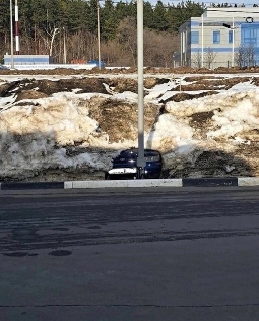 Химкинские подснежники..